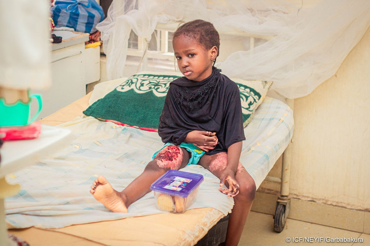 ナイジェリアのアイディルフィトリ ギフトボックス