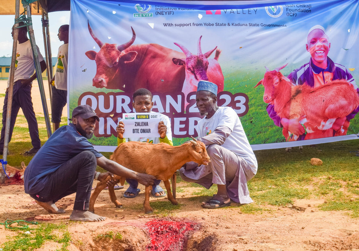 Qurban in Nigeria - Goat