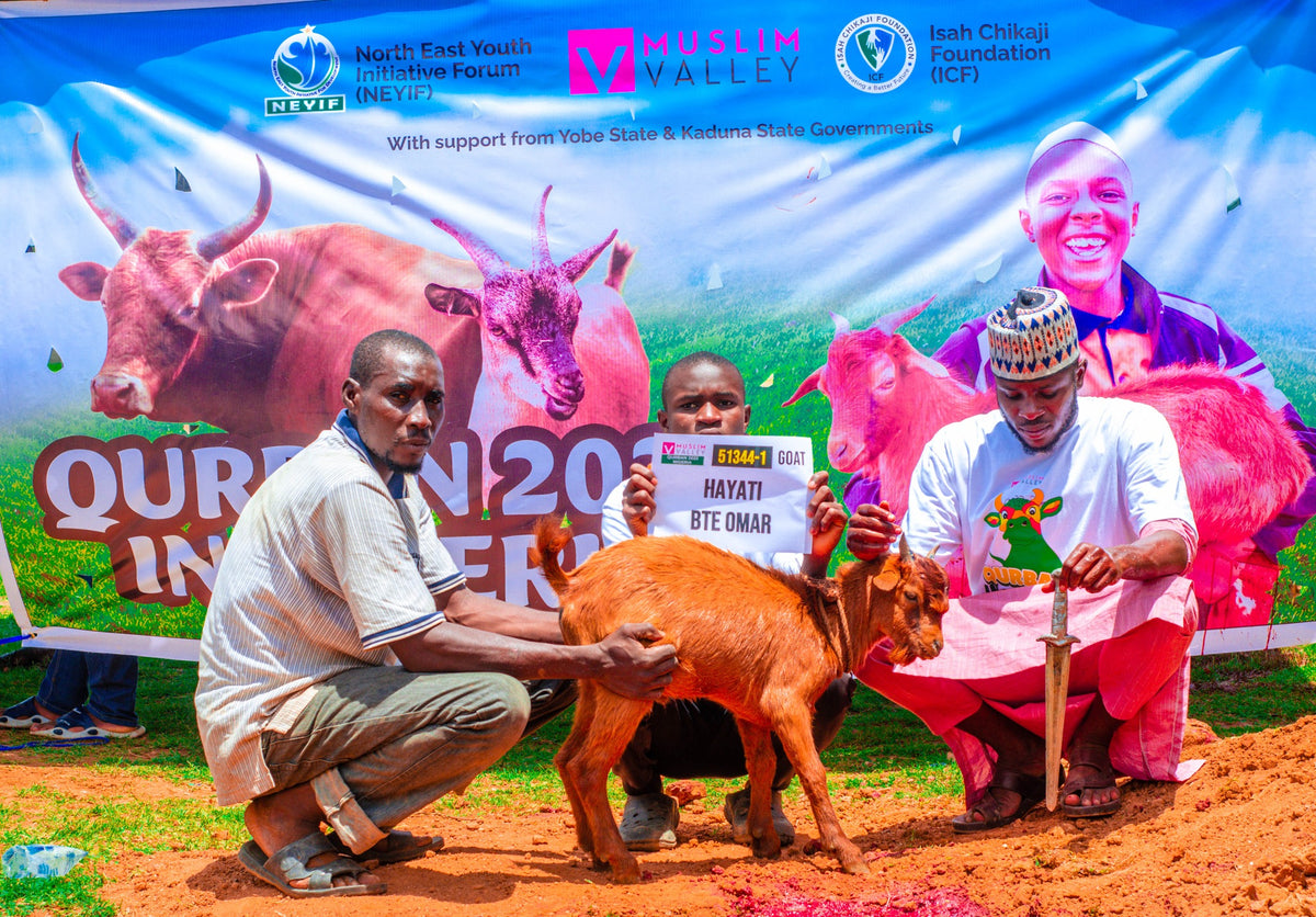 Qurban in Nigeria - Goat
