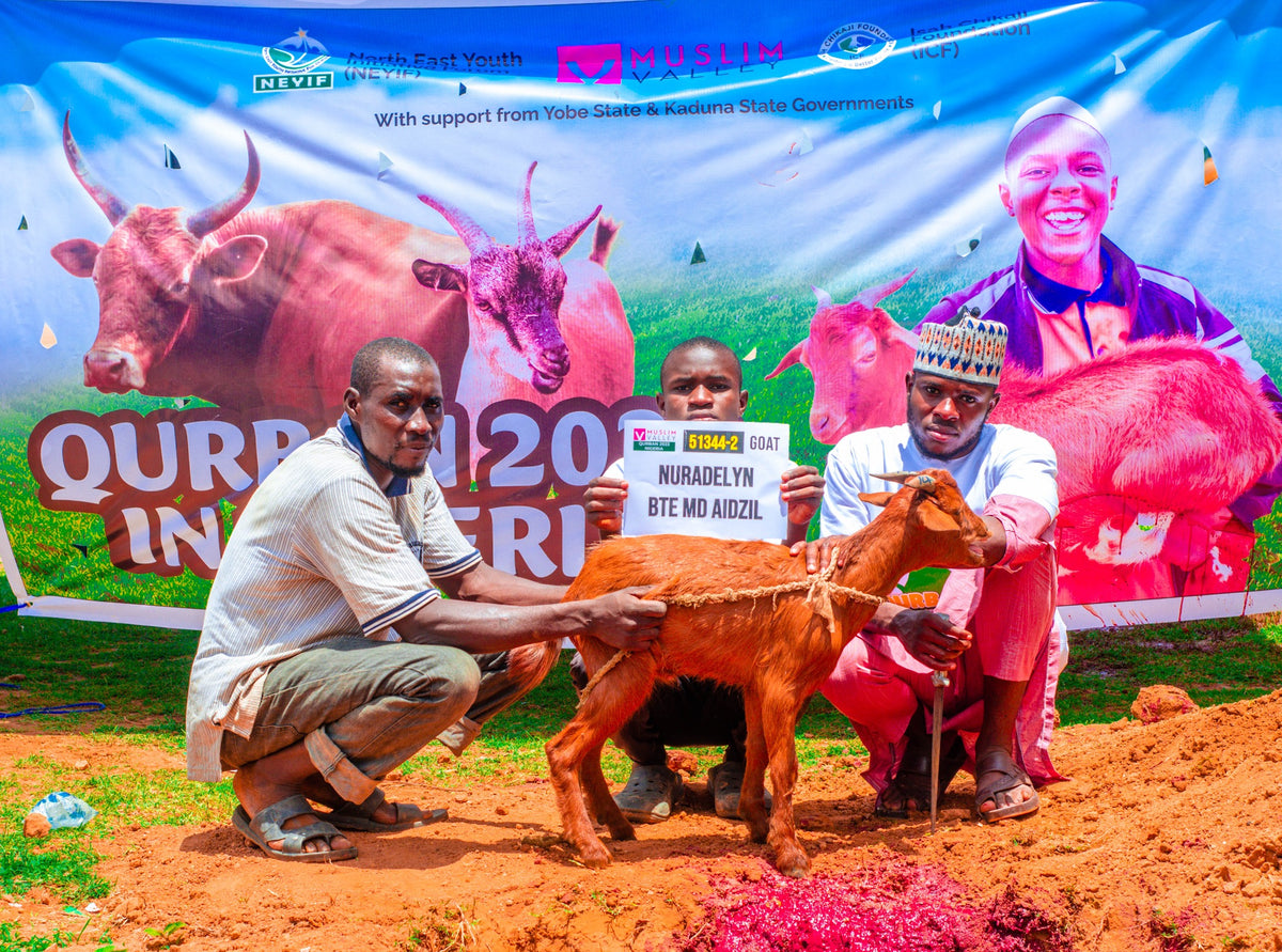 Qurban in Nigeria - Goat