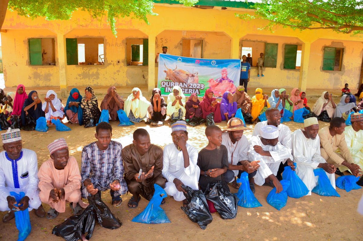 Qurban in Nigeria - Goat