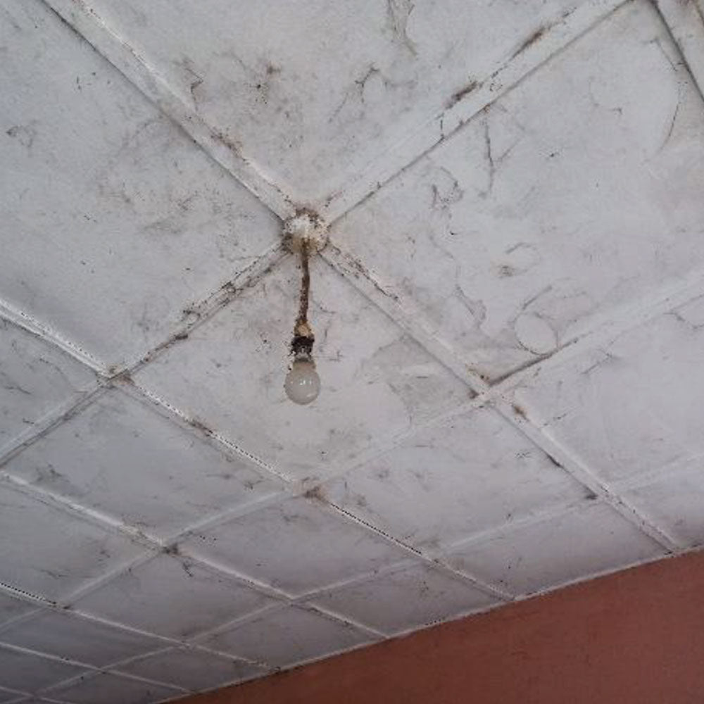 9th Waqaf Masjid Upgrading in Nigeria