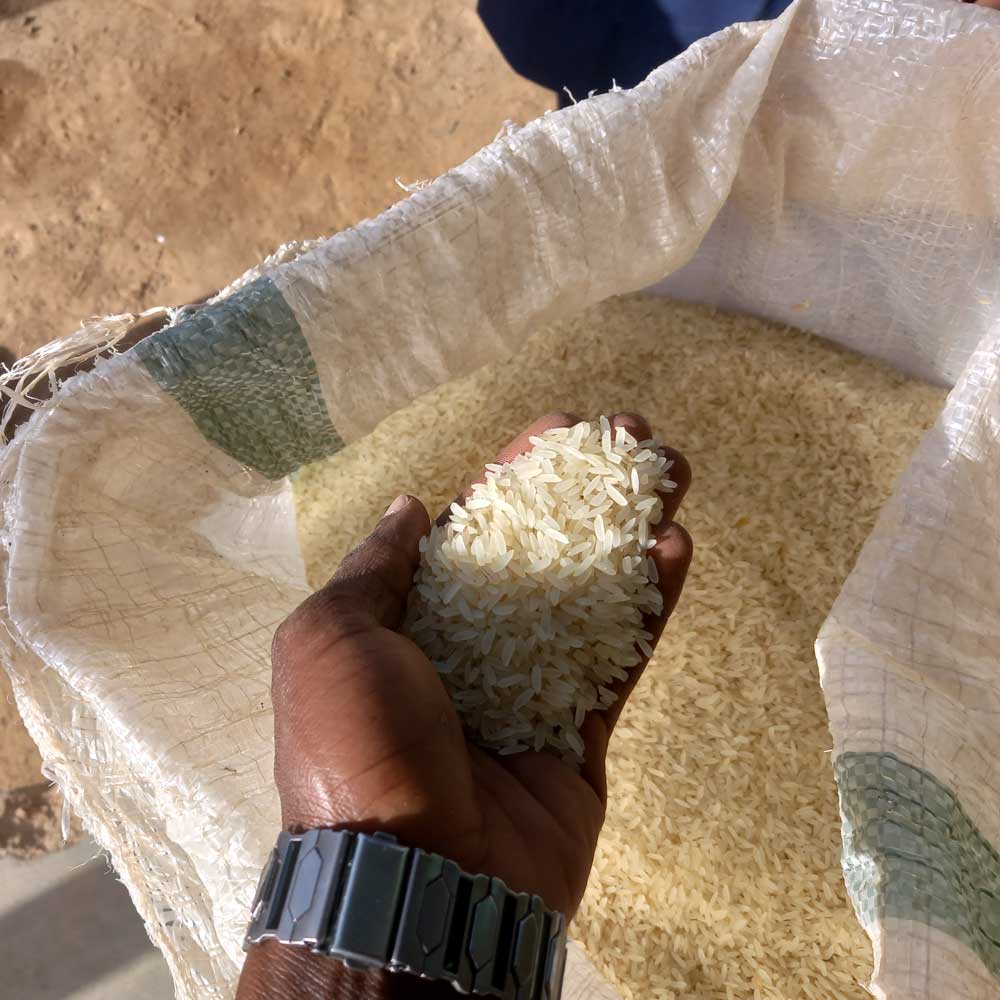 ナイジェリアのファキール・ミスキンのためのサダカ・ライス