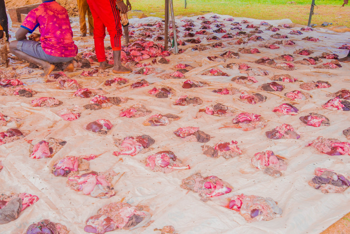 $20 Meat Sadaqa in Nigeria