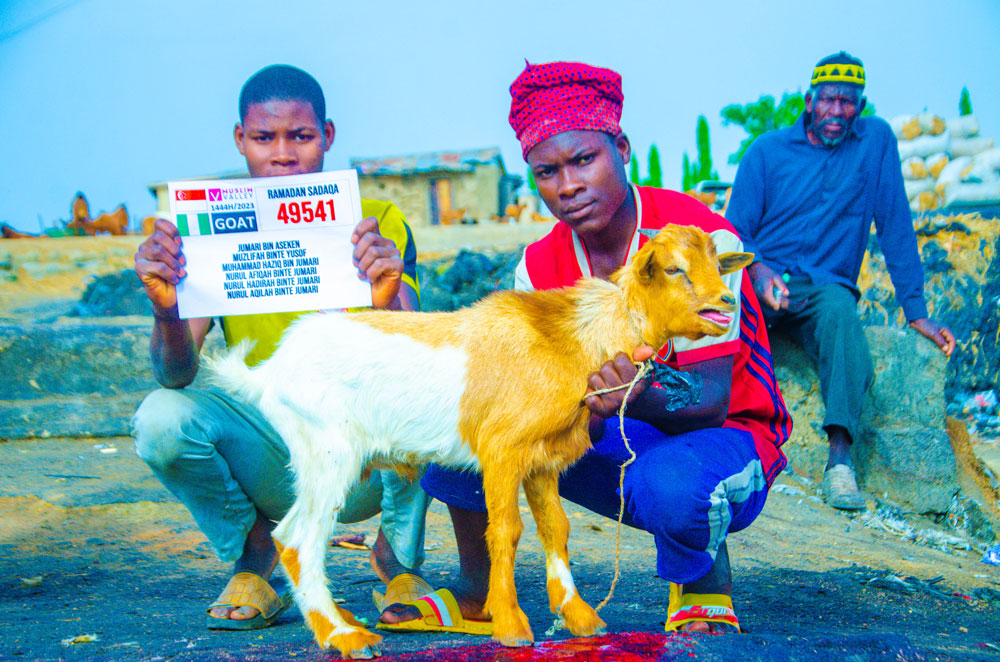 Goats for Iftar in Nigeria