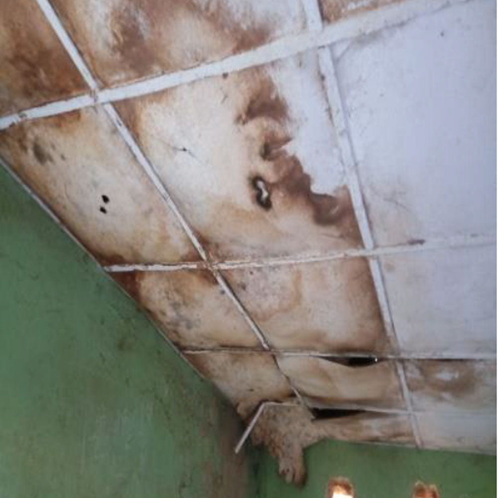 9th Waqaf Madrasah Upgrading in Nigeria