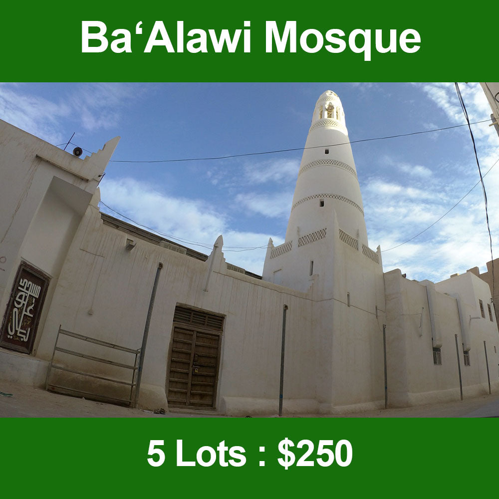 2nd Waqaf Masjid Solar Energy System in Yemen