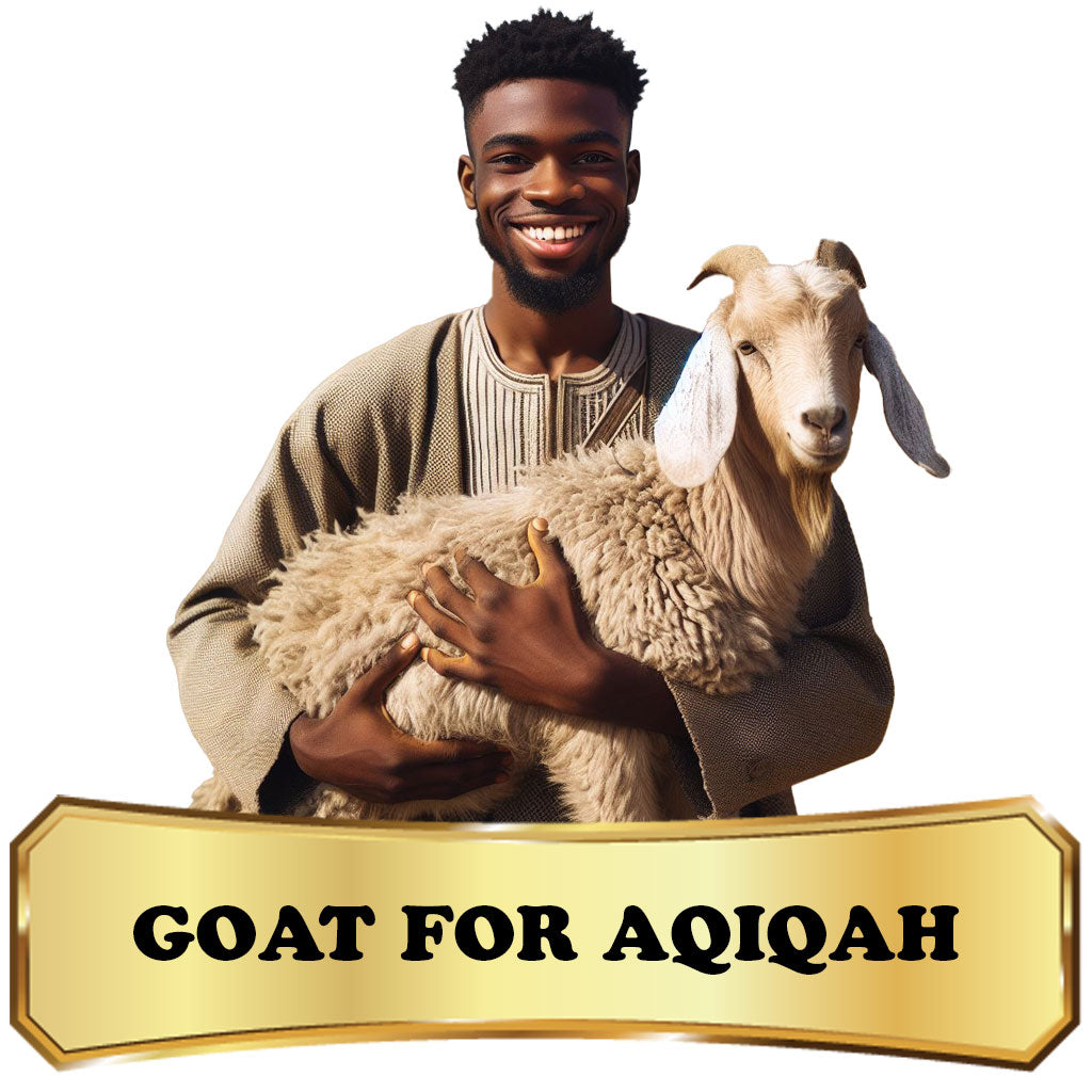 Aqiqah in Africa - Goat