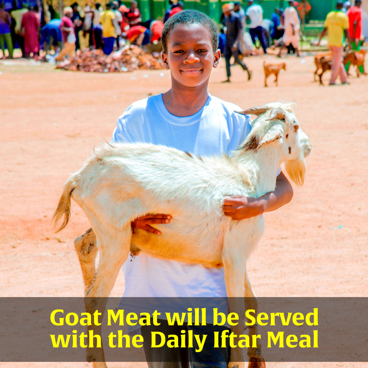 Goats for Iftar in Nigeria