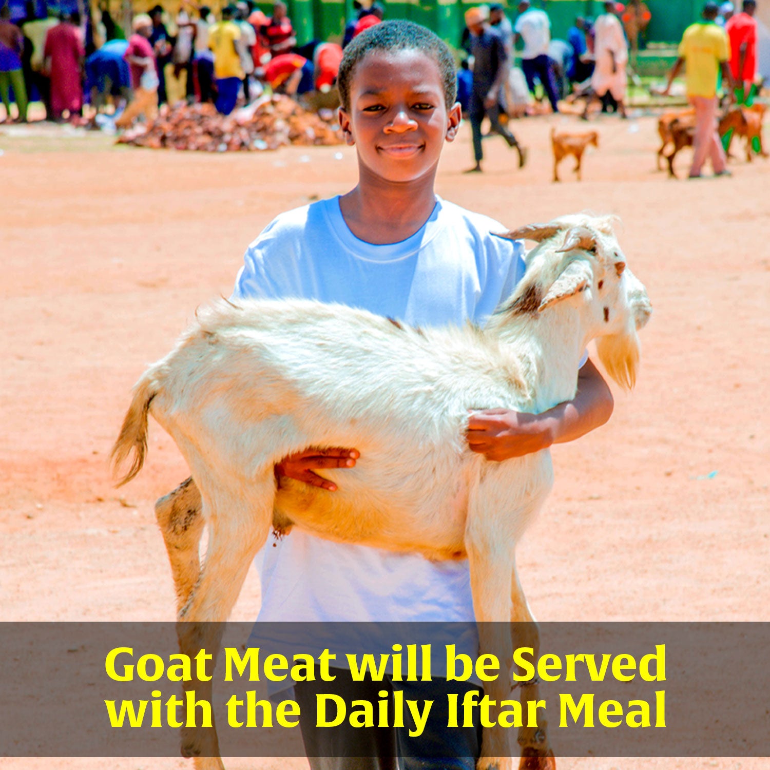Goats for Iftar in Nigeria