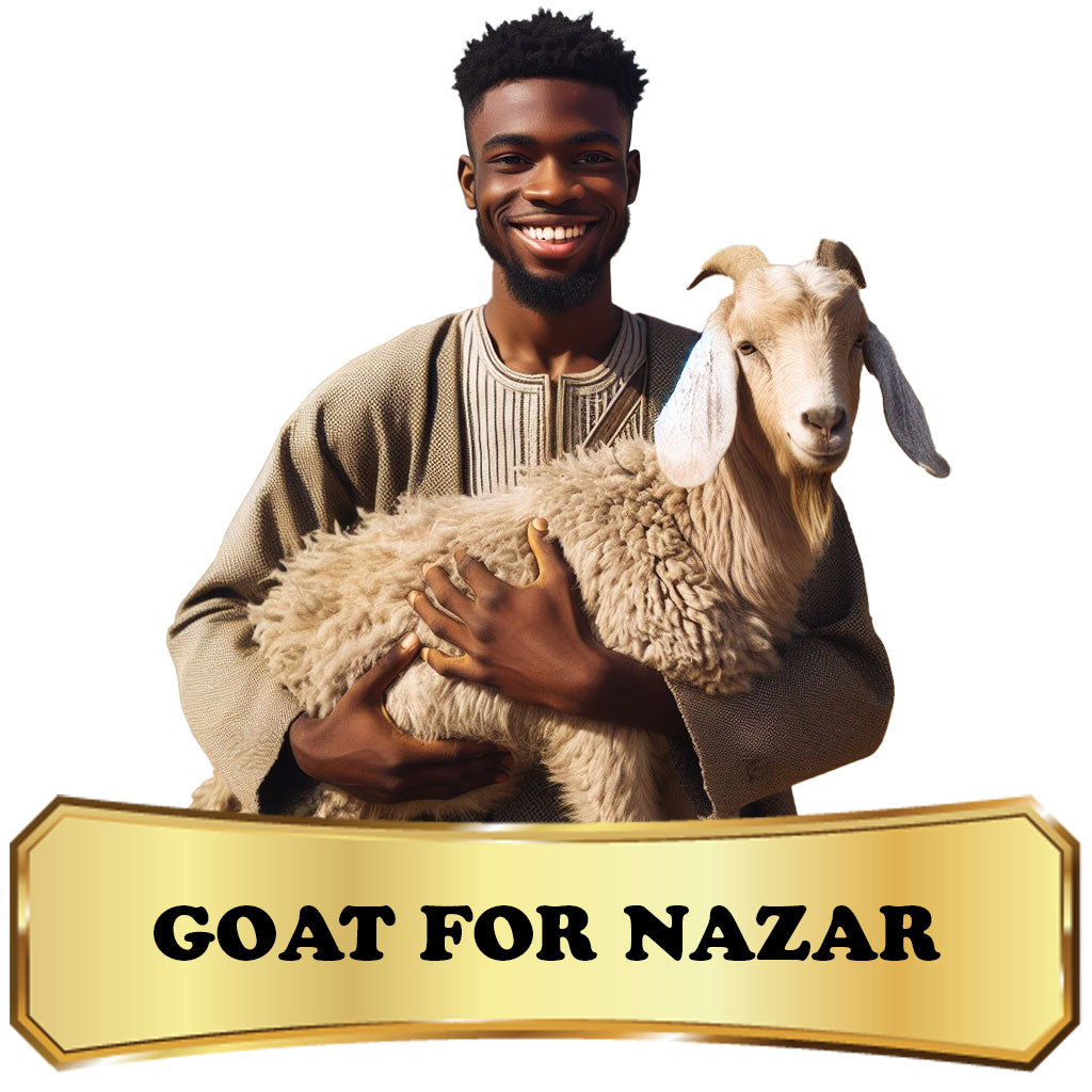 纳扎尔在非洲 - 山羊