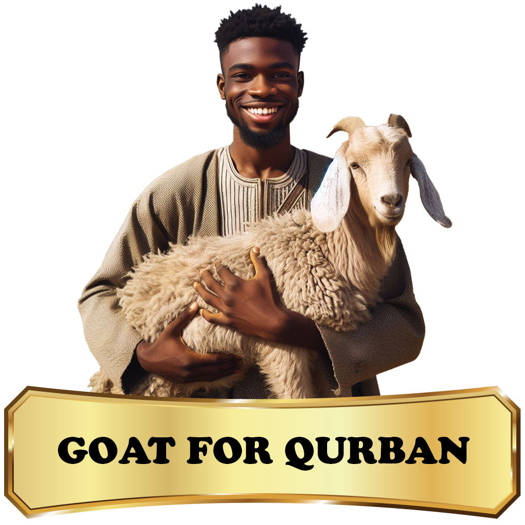 Qurban in Africa - Goat