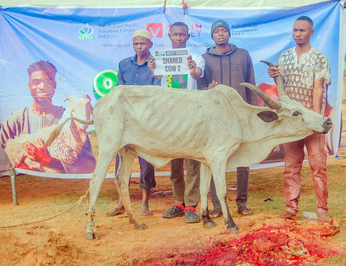 $20 Meat Sadaqa in Nigeria