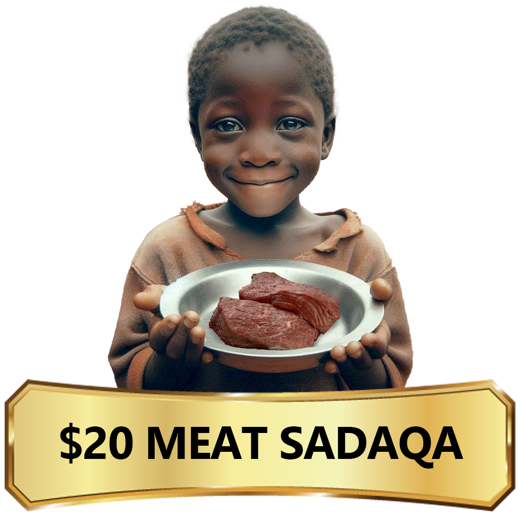 $20 Meat Sadaqa in Nigeria