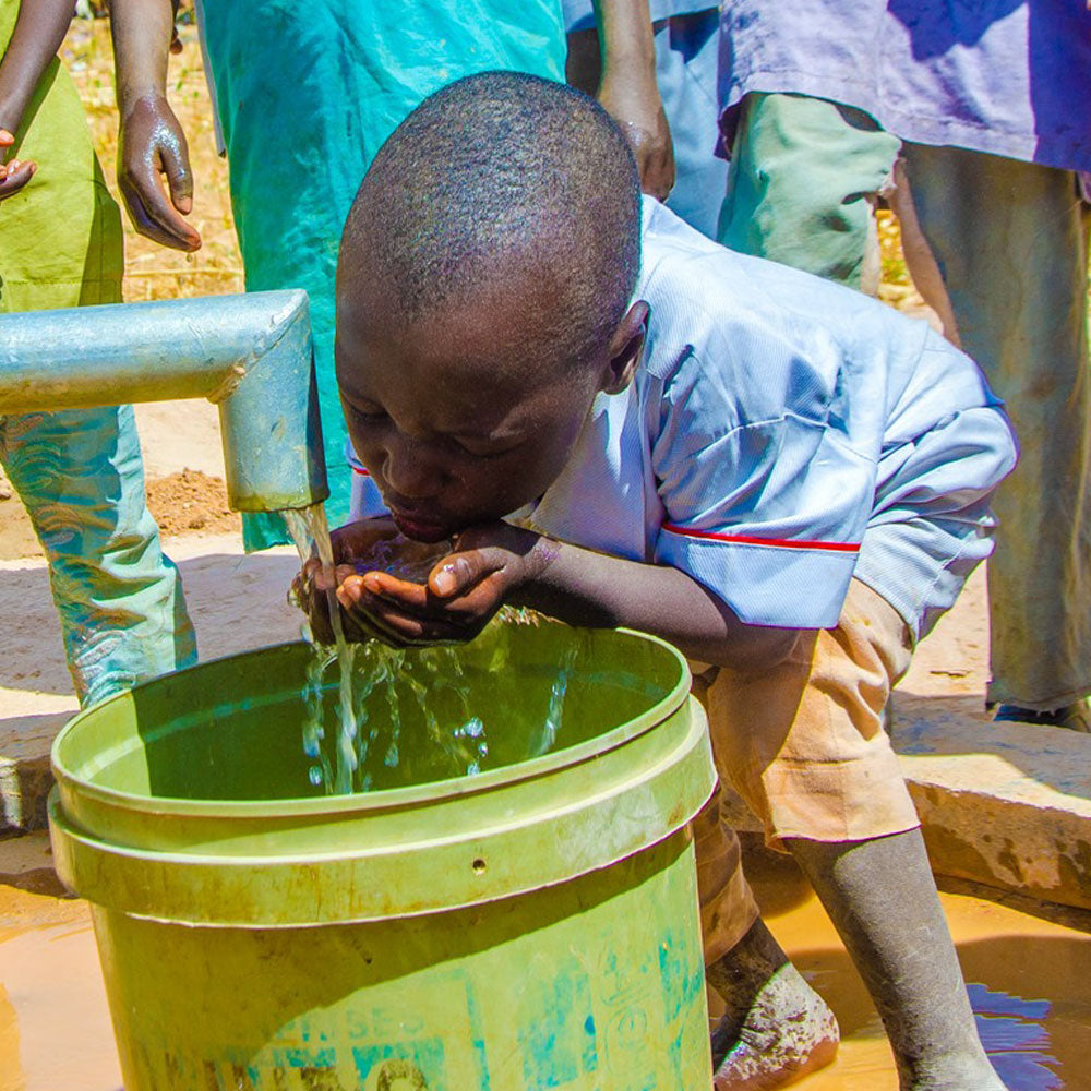 Waqaf ハンドポンプ ボアホール (Telaga Air)