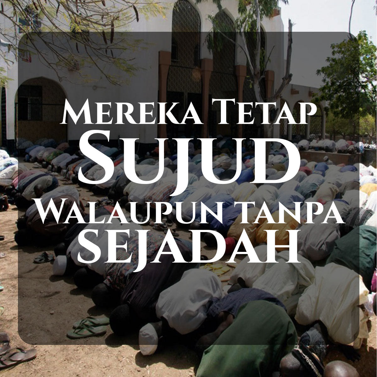 Sadaqa Sajada in Nigeria