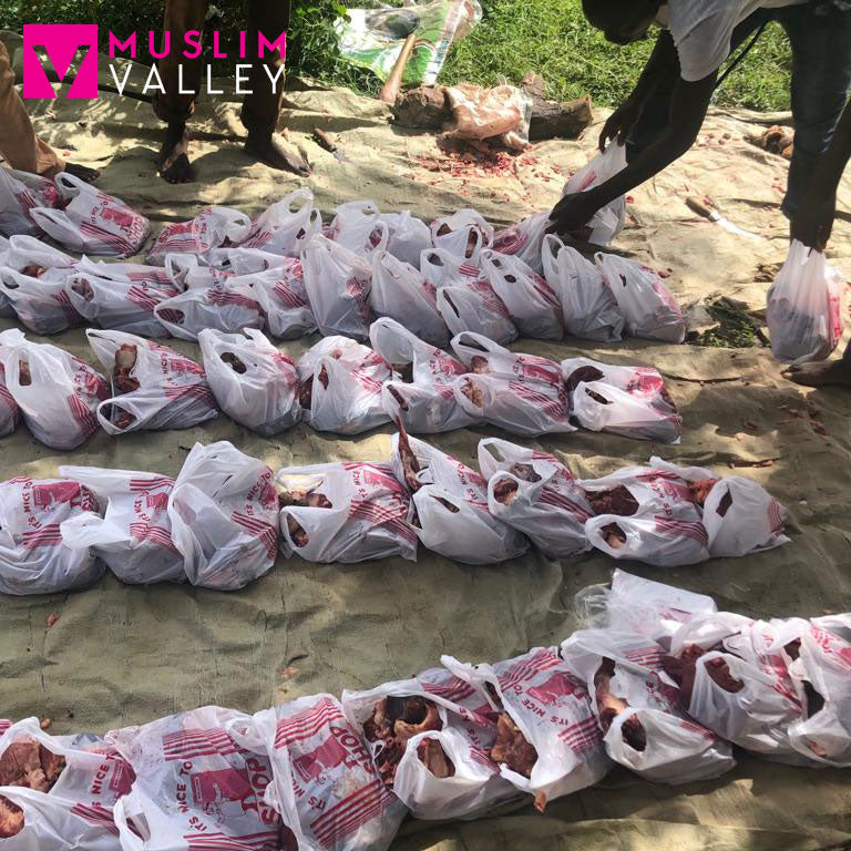 ナイジェリアのサダカ - ヤギ