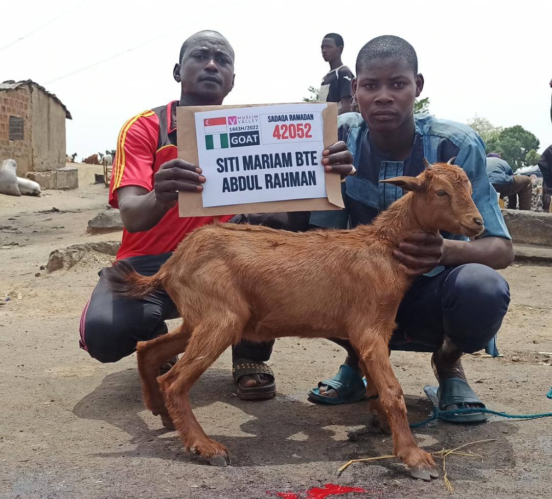 Nazar in Nigeria - Goat