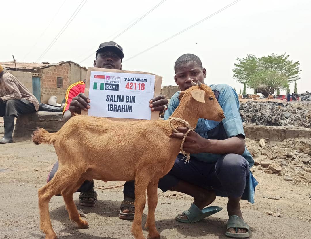 Nazar in Nigeria - Goat
