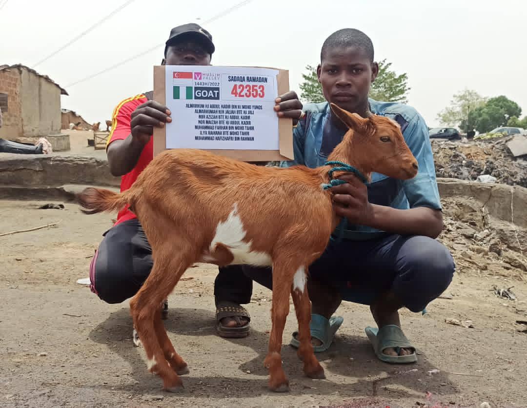 Nazar in Nigeria - Goat