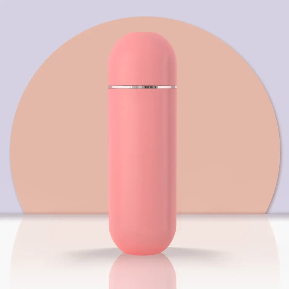 ポータブルビデ