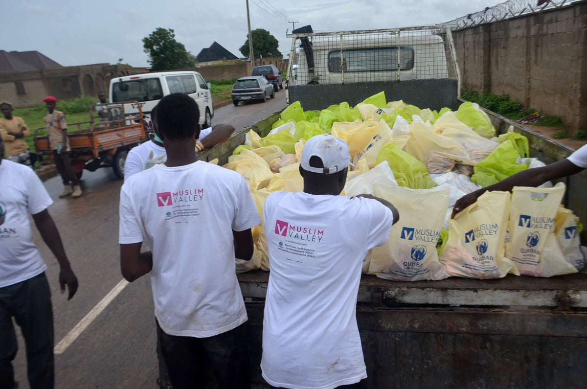 Qurban in Nigeria - Cow