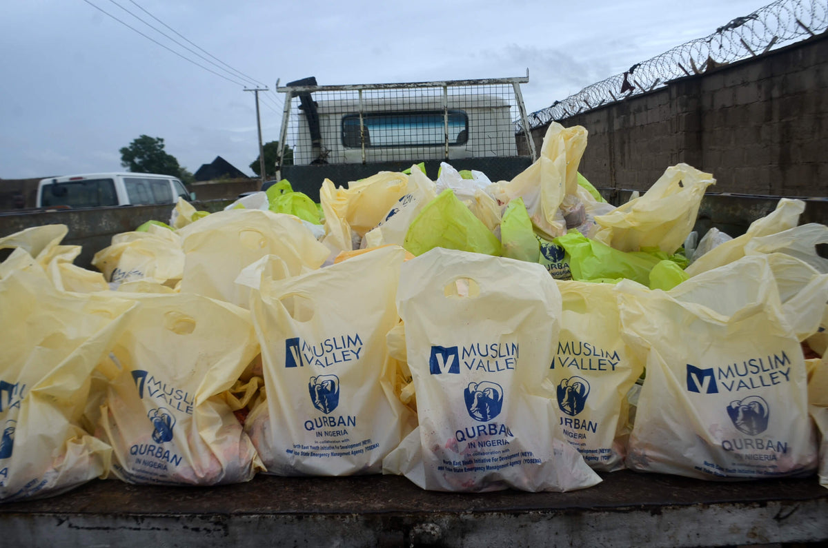Qurban in Nigeria - Cow
