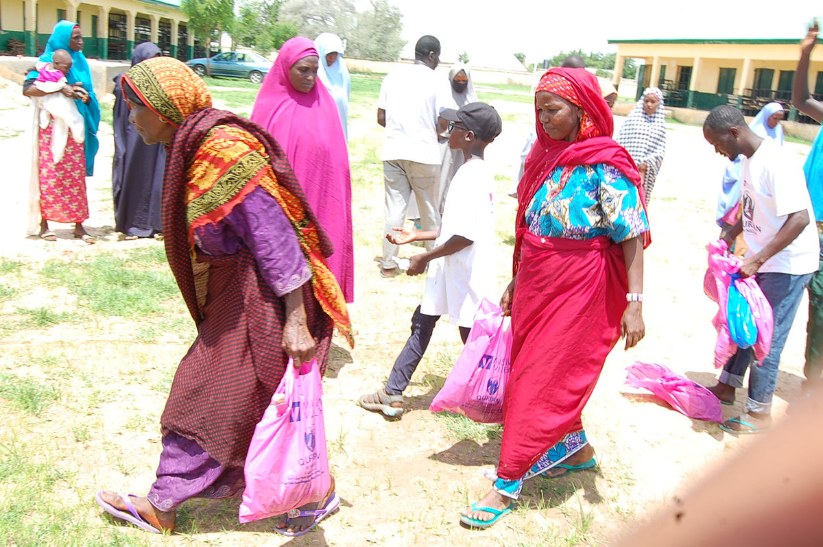 Qurban in Nigeria - Cow