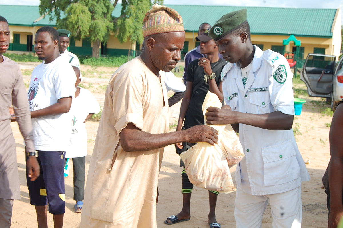 Qurban in Nigeria - Cow
