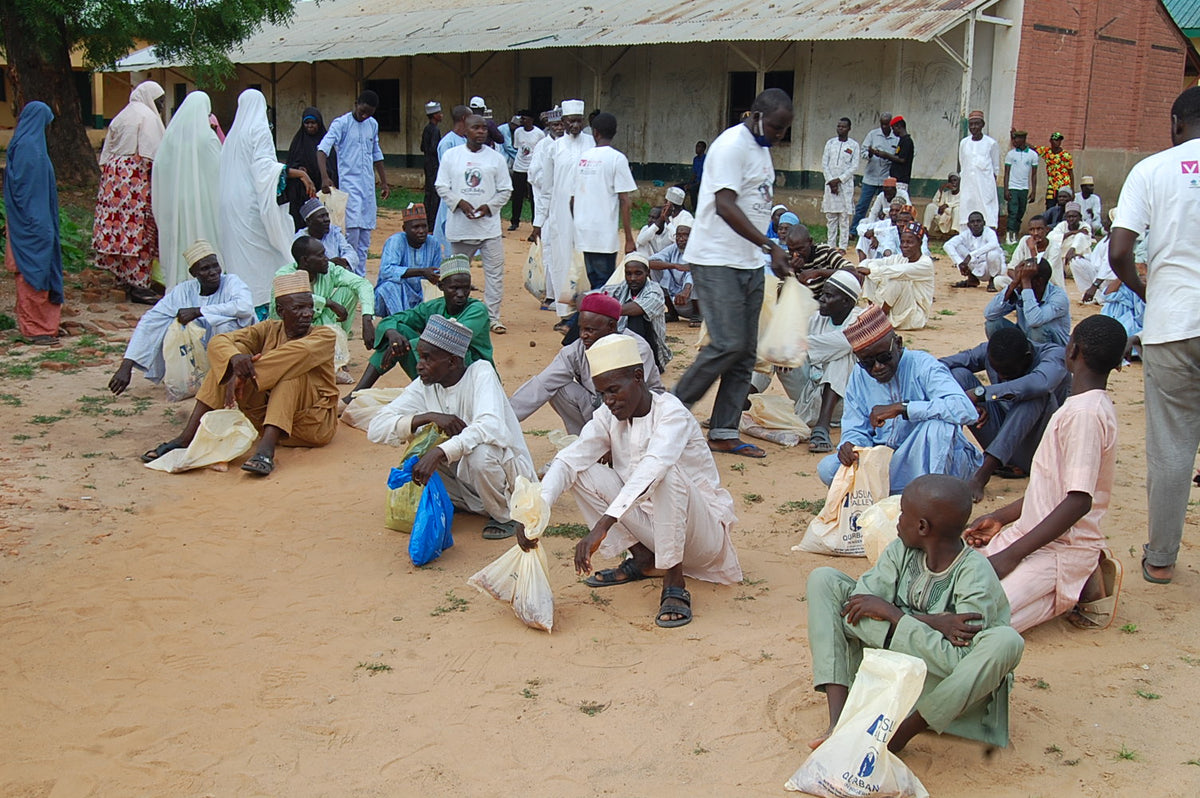 Qurban in Nigeria - Cow