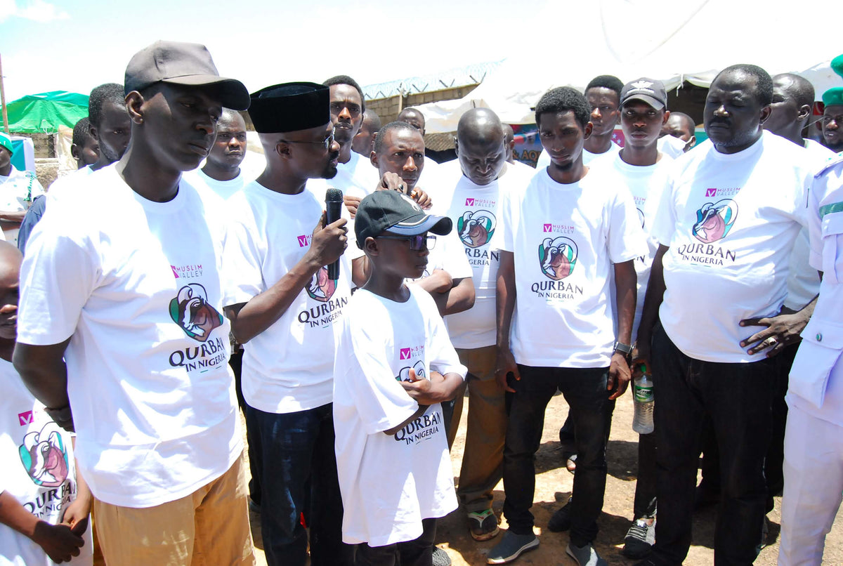 Qurban in Nigeria - Cow