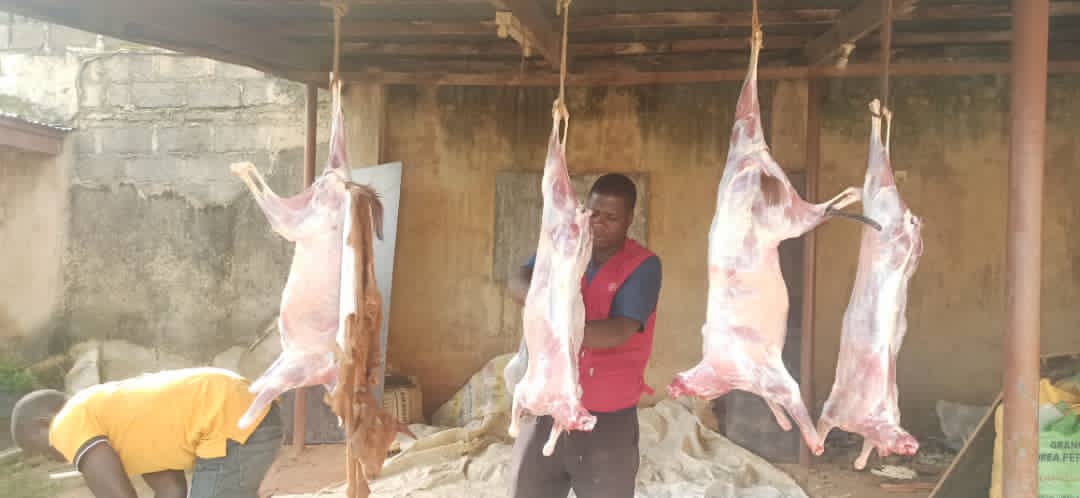 Aqiqah in Nigeria - Goat