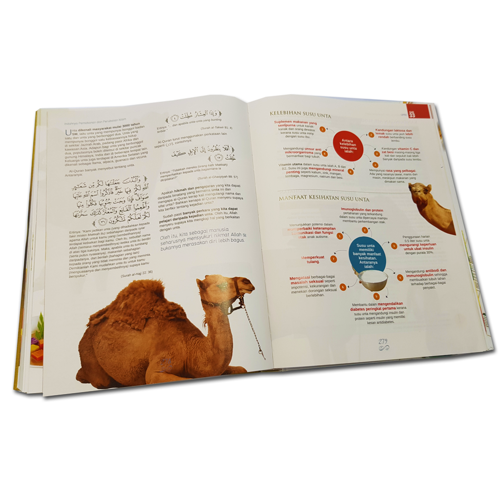 インダーニャ ペマカナン &amp;amp; ペルバタン イスラム (マレー)