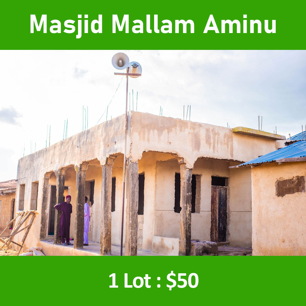 ナイジェリアで第 2 回ワカフ マスジドの改修工事