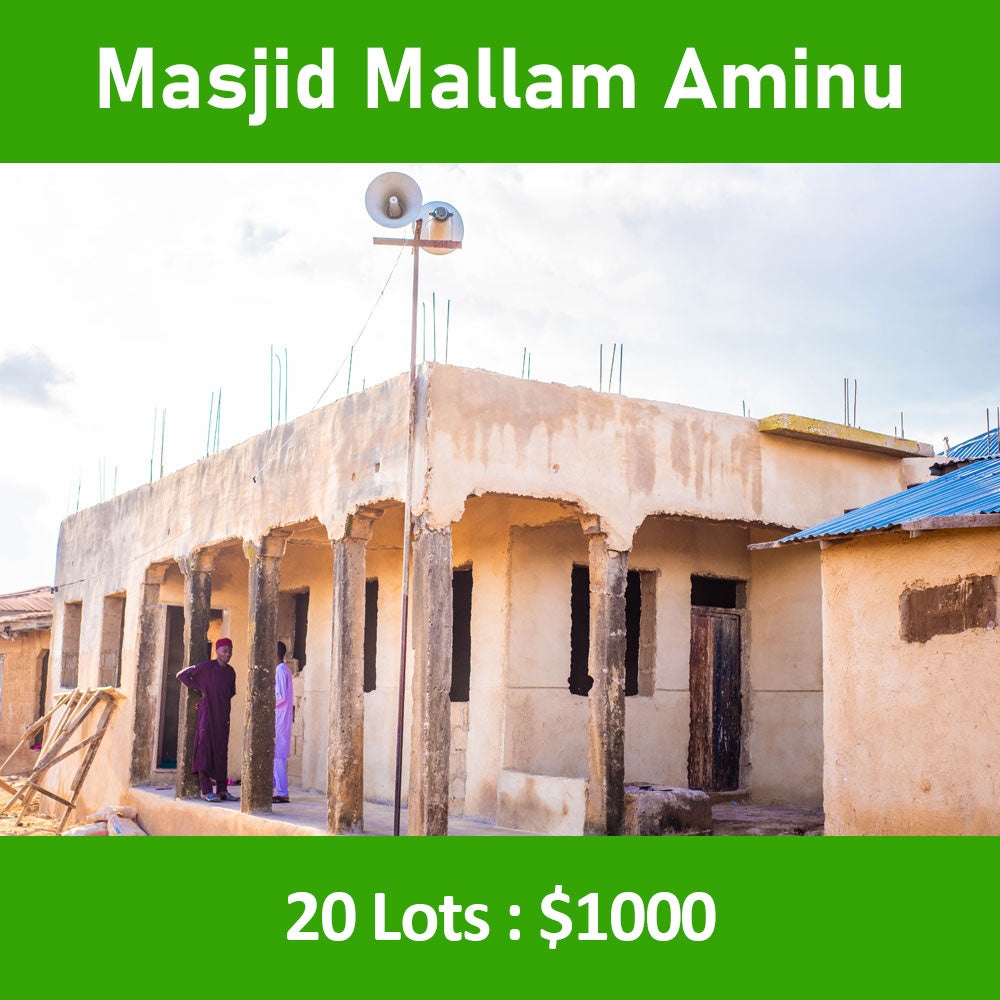 ナイジェリアで第 2 回ワカフ マスジドの改修工事