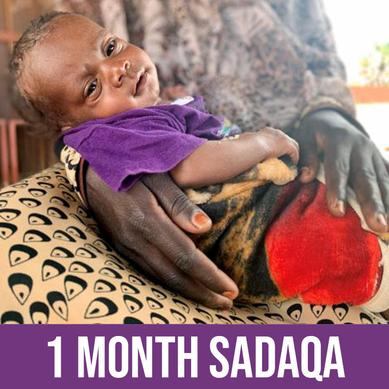 Sadaqa - Feed Nigerian Babies